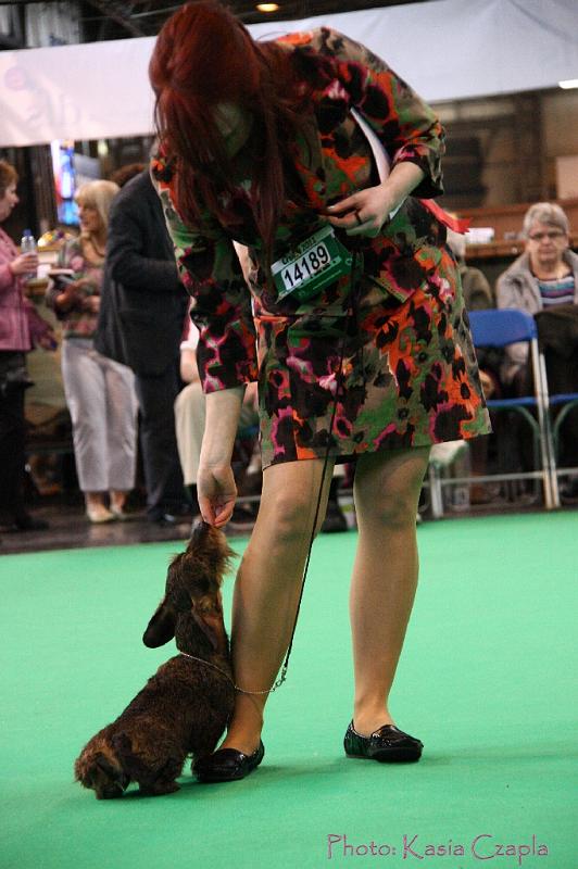 Crufts2011_2 1190.jpg